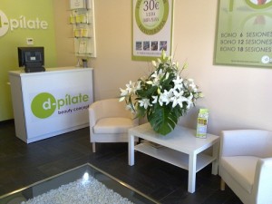 franquicias baratas dpilate
