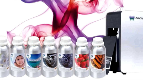 franquicias baratas ambiseint