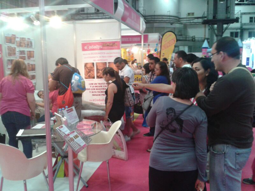 franquicias baratas ecodadys