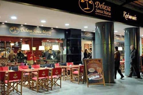 franquicias baratas dehesa santamaria