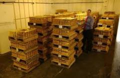 ¿Quieres confiar tu patrimonio en algo o alguien que no manejas?