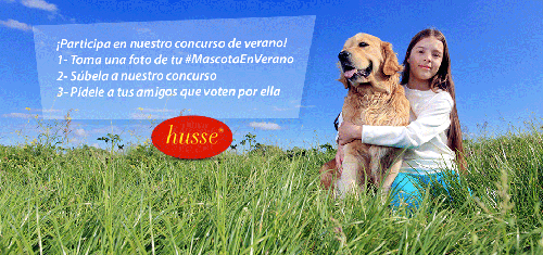 franquicias baratas husse