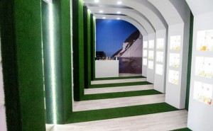 franquicias-rentables-MON370