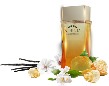 montar franquicias la botica