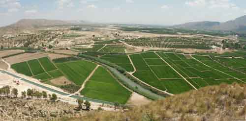 montar franquicias akiwifi