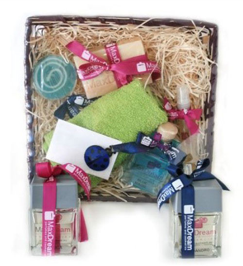 montar franquicias maxdream