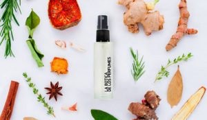 montar franquicias la botica