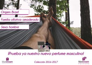 franquicias-max-dream