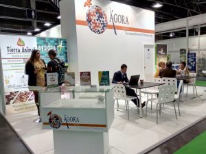 consultora-franquicias-agora