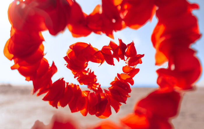 amor ideal franquicias